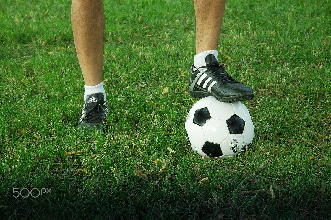 Bola sepak di atas lapangan hijau stadion